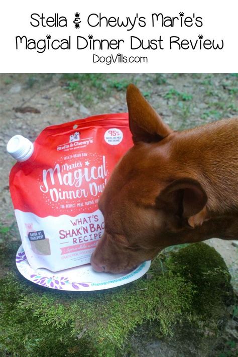The Secret Ingredient in Magic Dust Dog Food Topper That Dogs Can't Resist